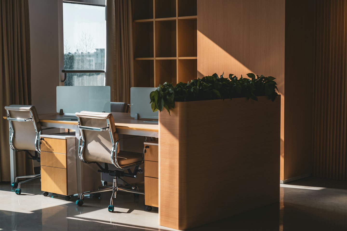 Bureau moderne et vide avec des bureaux et une plante baignés de soleil.